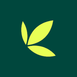 Bamboo Investment