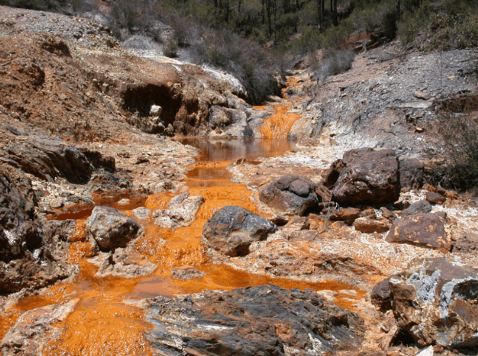 Prospectors swarm Springs settlement after alleged gold find